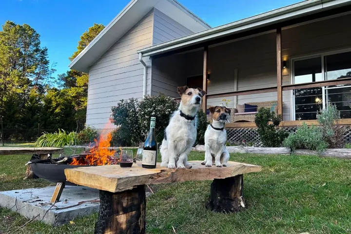 pet-friendly accommodation in Southern Highlands