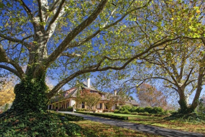 Sutton Forest things to do