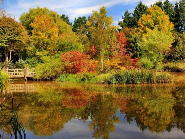Visit Sutton Forest, Southern Highland: 19+ Best Things to Do - The ...
