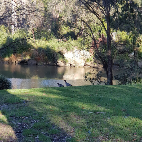 Berrima River Reserve