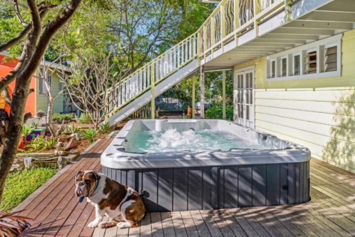 Pet-Friendly Accommodation