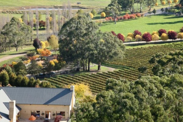 Centennial Vineyards