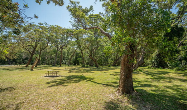 The Beach Road Picnic Area