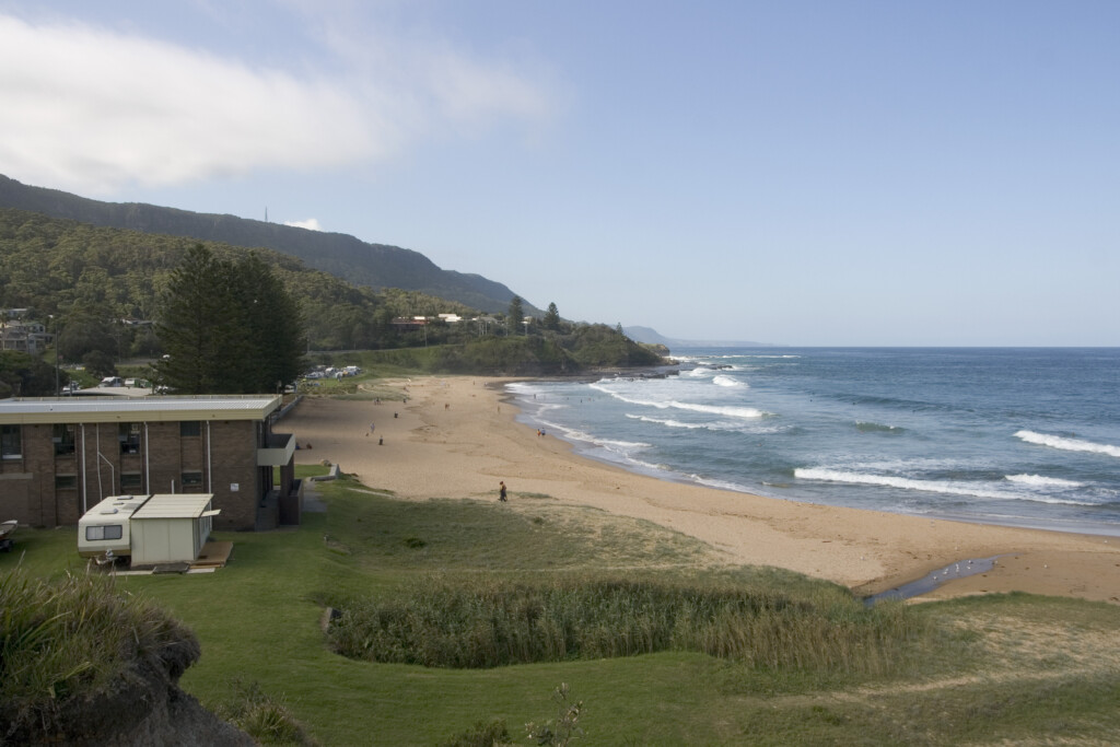 Coledale Beach