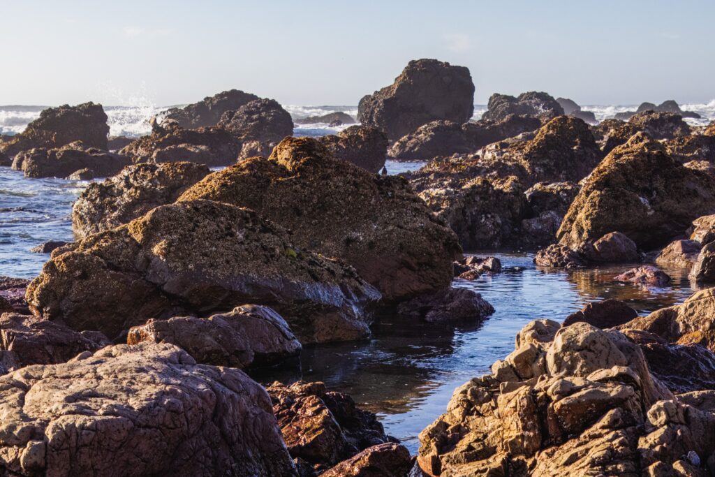 Stunning tidal pool at the beach