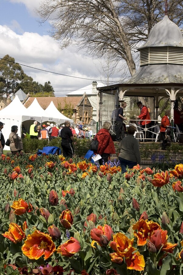 Bowral Flower Garden by Maksym Kozlenko