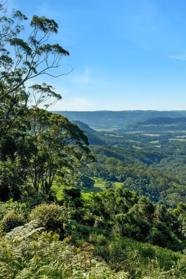 kangaroo valley natural landscape