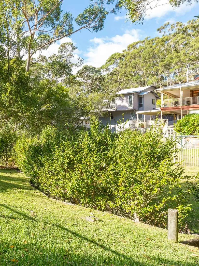greenery at hyams beach
