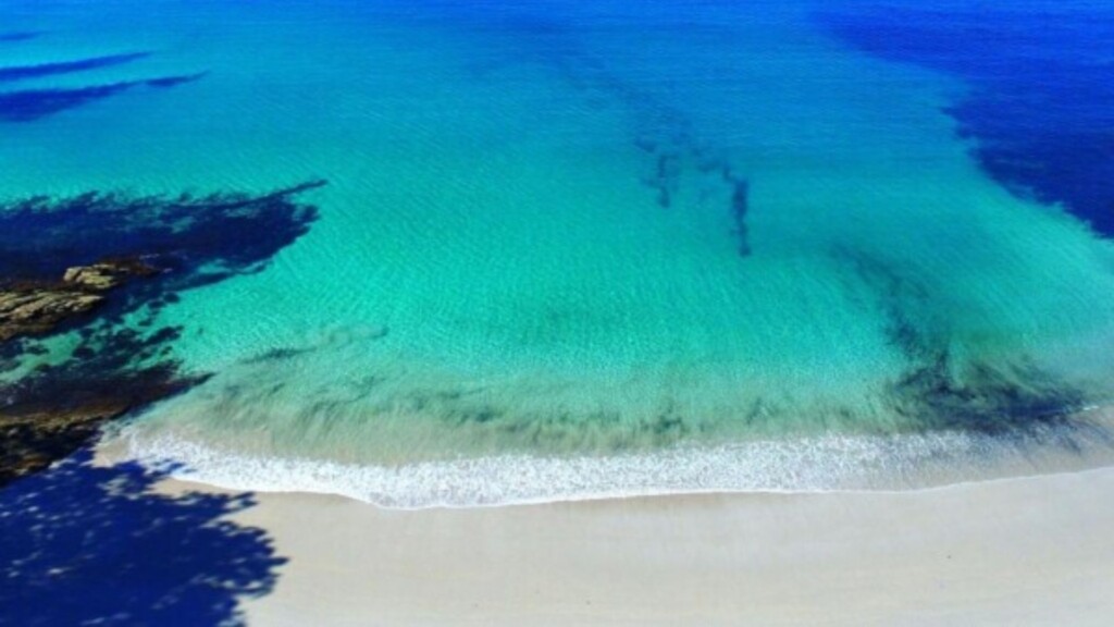 Blenheim Beach