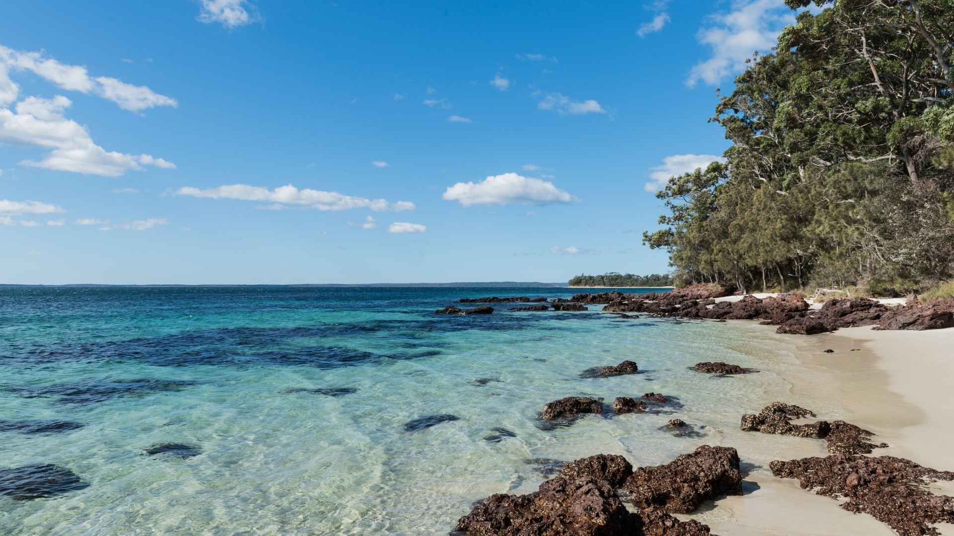 Vincentia Beach