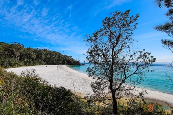 white sand walk