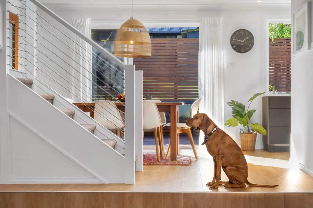 pet friendly accommodation in hyams beach