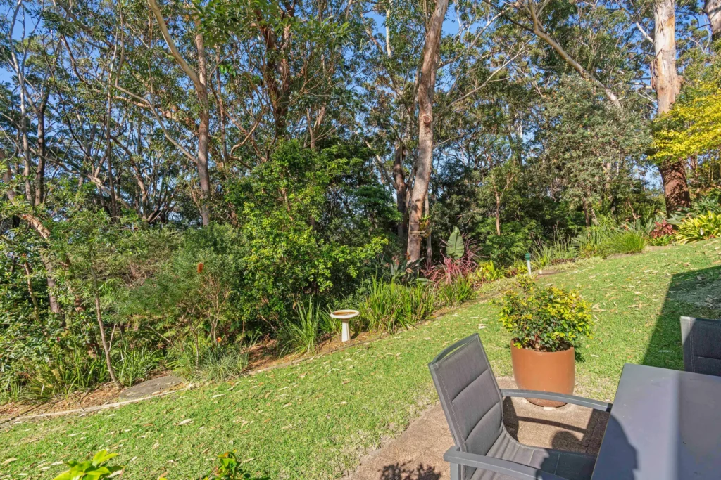hyams beach haven yard for privacy