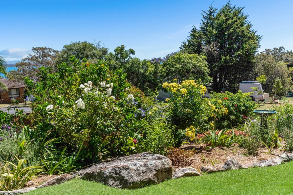 natural setting outside the Lighthouse accommodation, suitable for pet plays and outdoor activiites