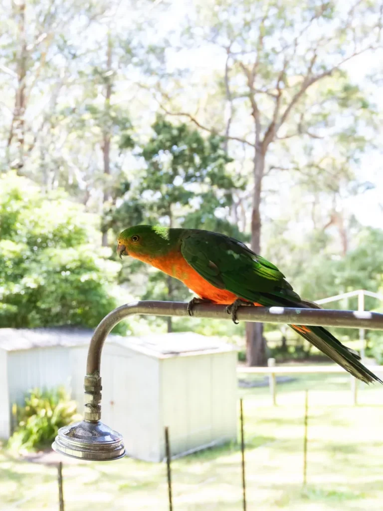 natural wildlife at the sanctuary