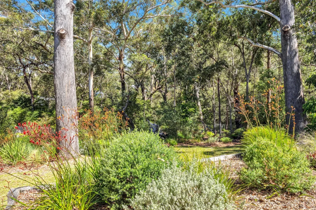 secluded bushland settings in vincentia