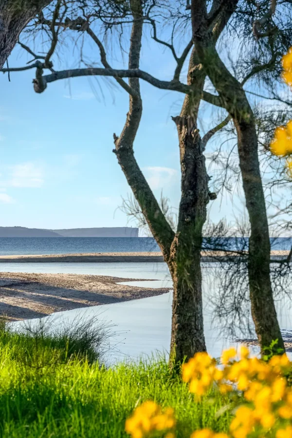 huskisson view from sandalwood house