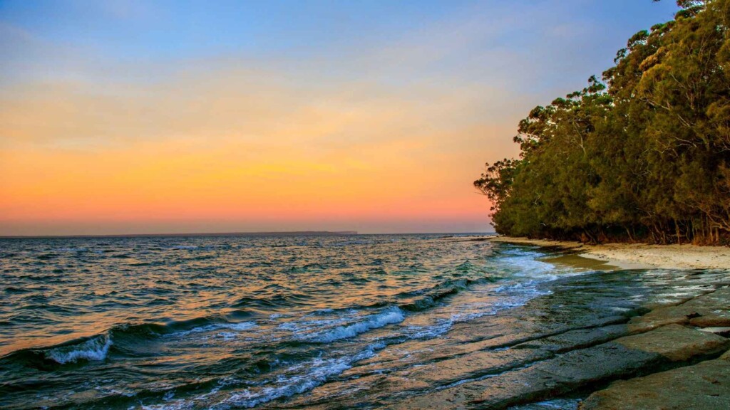 Best time to visit Huskisson for a peaceful sunset walk along the shoreline with calm waves and coastal trees