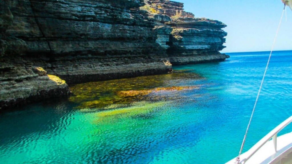 Jervis Bay Passage Cruise
