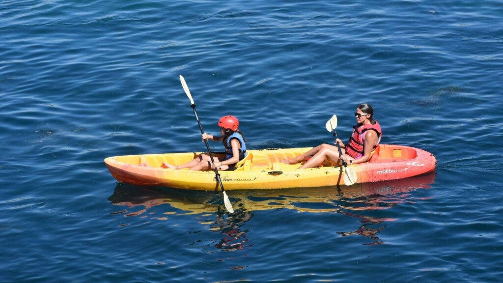 Kayaking tours in Vincentia