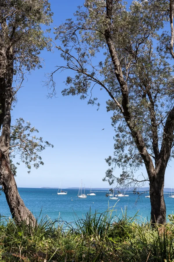 callala bay from sails blue