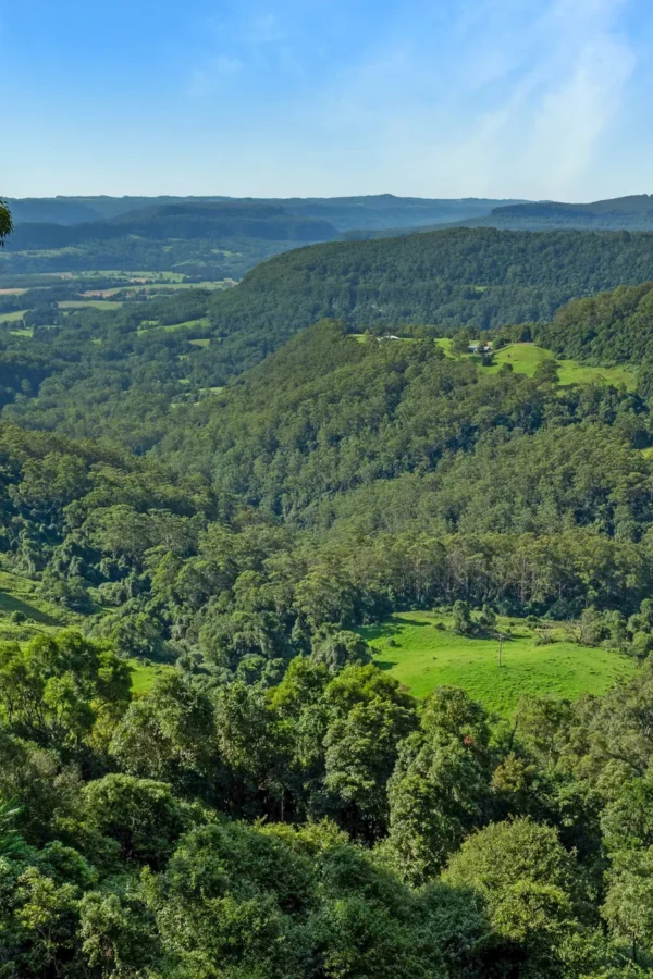 berry surrounds valley from valley view studio