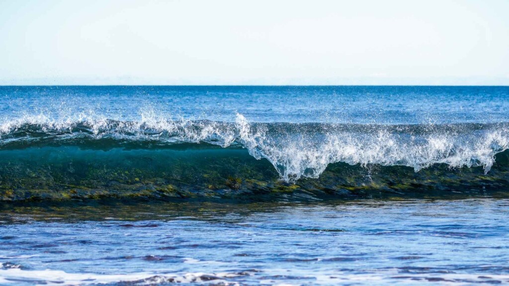Summer in Culburra Beach