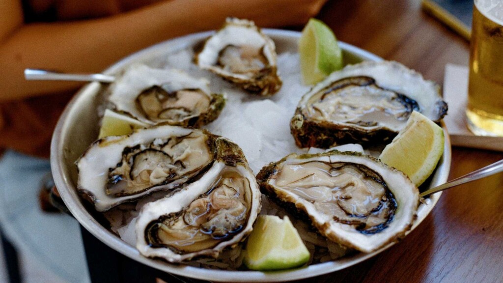 fresh local oysters in The Little Snapper