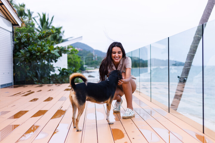 Where to Find Pet-Friendly Accommodation in Hyams Beach for an Unforgettable Coastal Escape