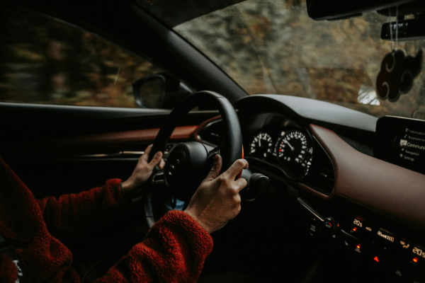 driving through scenic drive of Tasman Drive