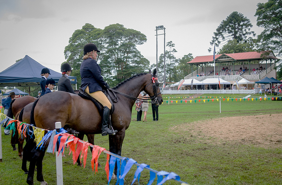 horse events at berry show
