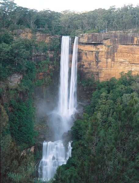 fitzroy falls