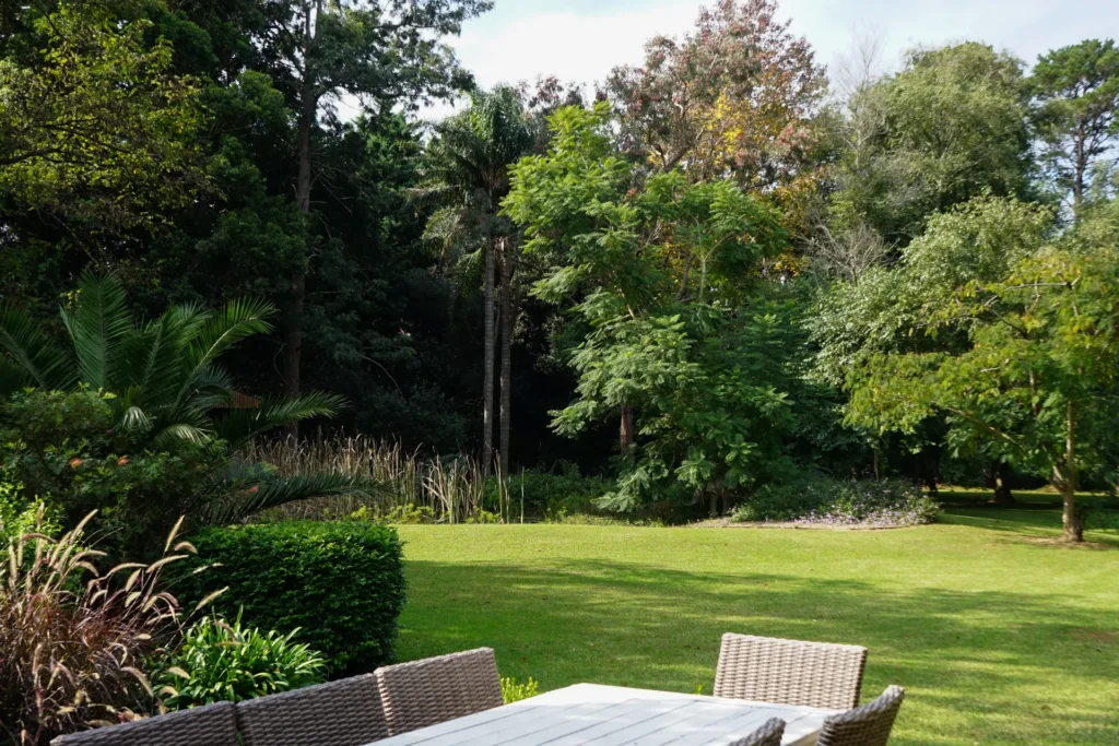 natural surroundings in the backyard of kevalier park
