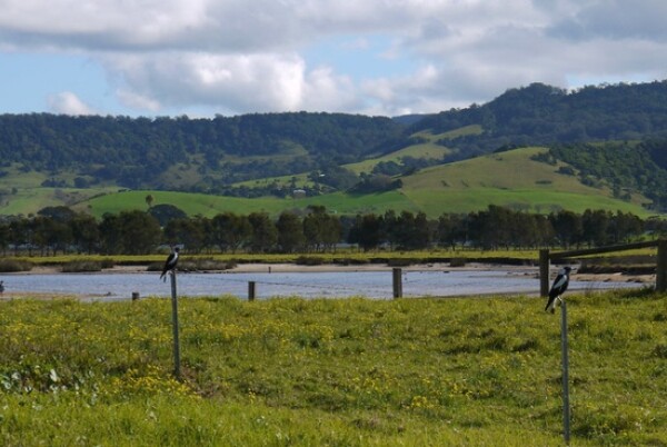 Werri Lagoon Gerringong 1